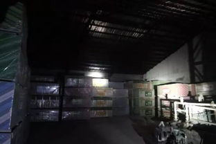 日查夜查、直擊現場 臨沂生態環保人守護銀河棉業綠色發展